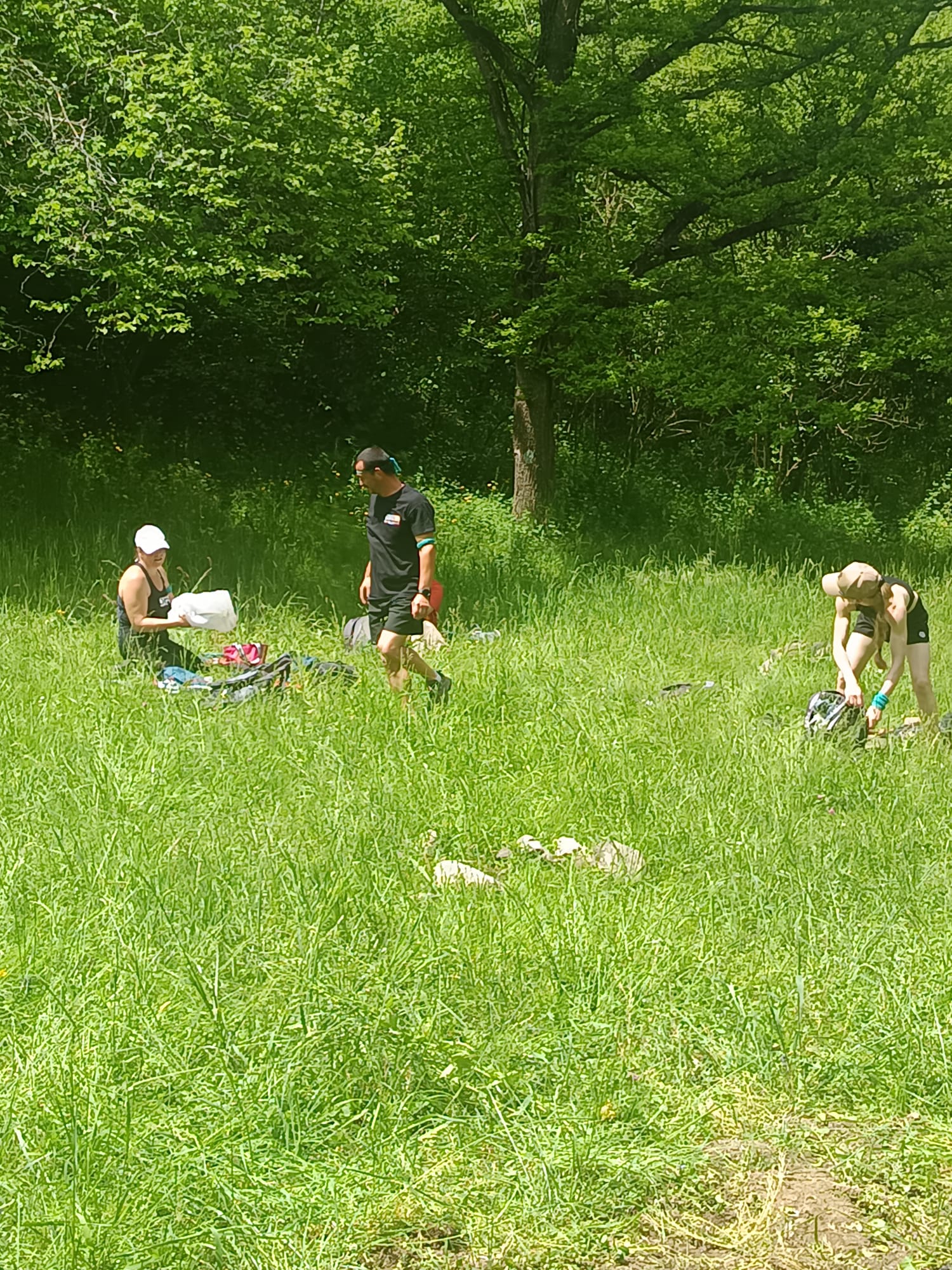 Photo de l'album : Stage en forêt