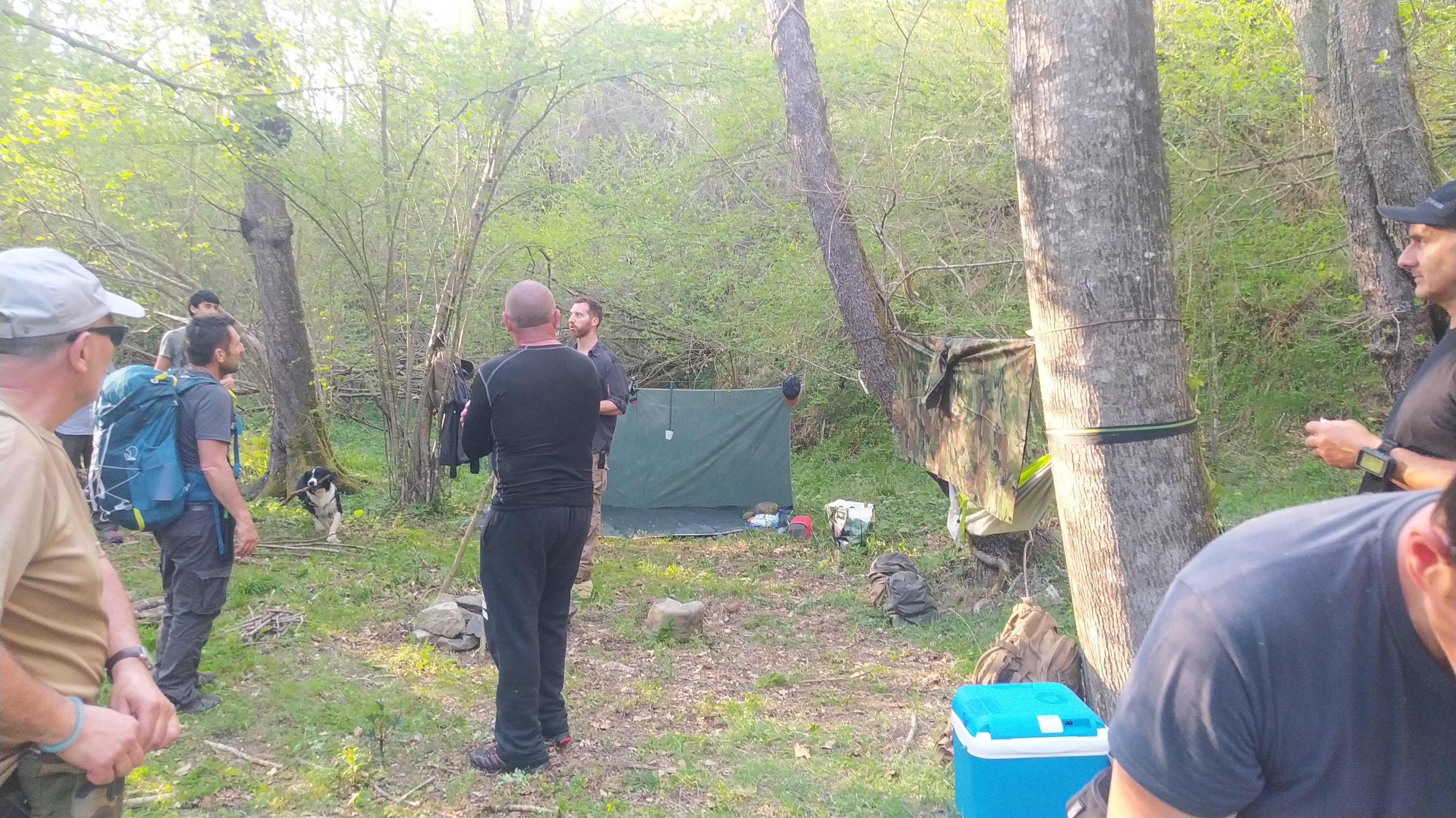 Photo de l'album : Stage en forêt