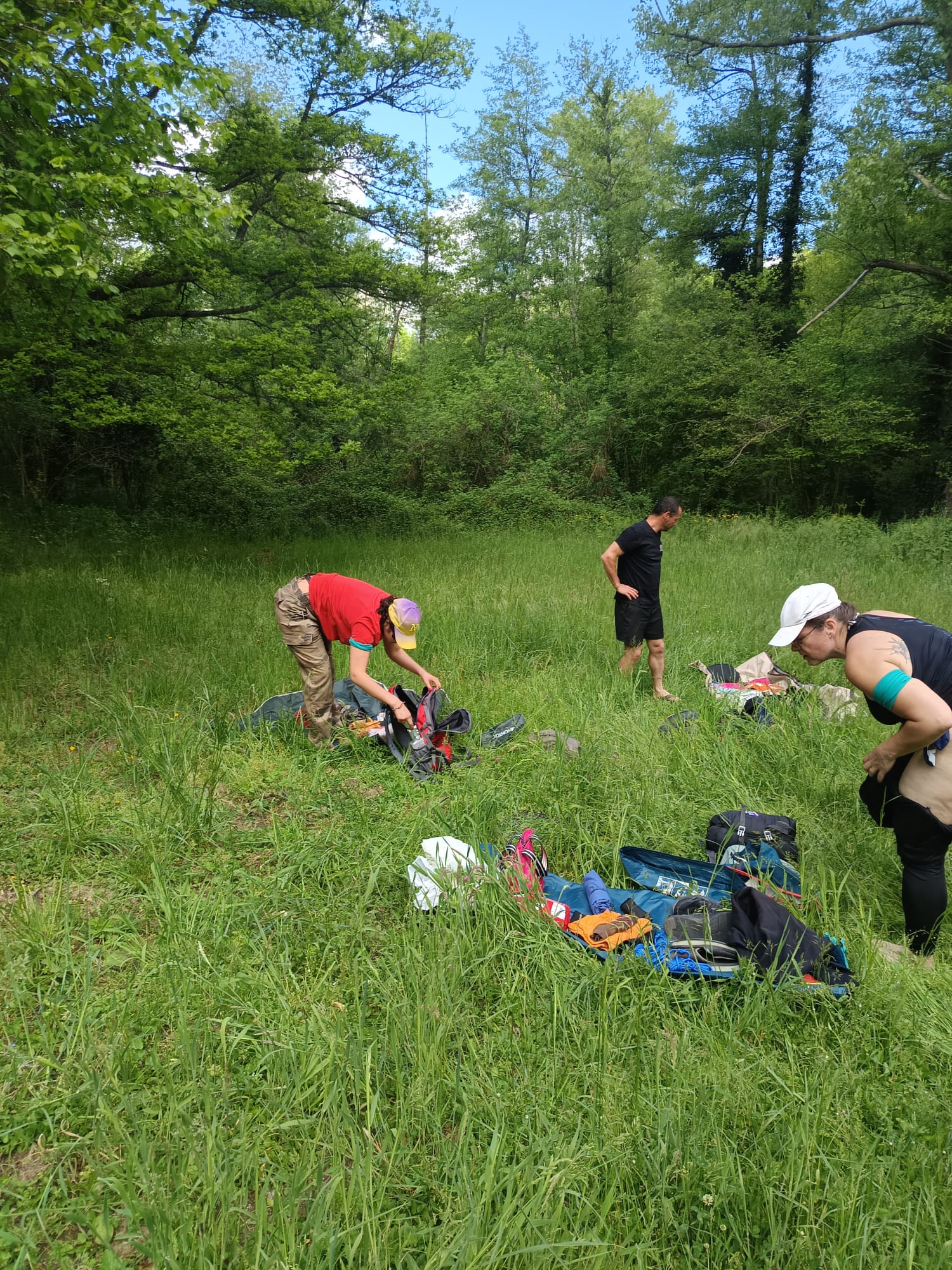 Photo de l'album : Stage en forêt