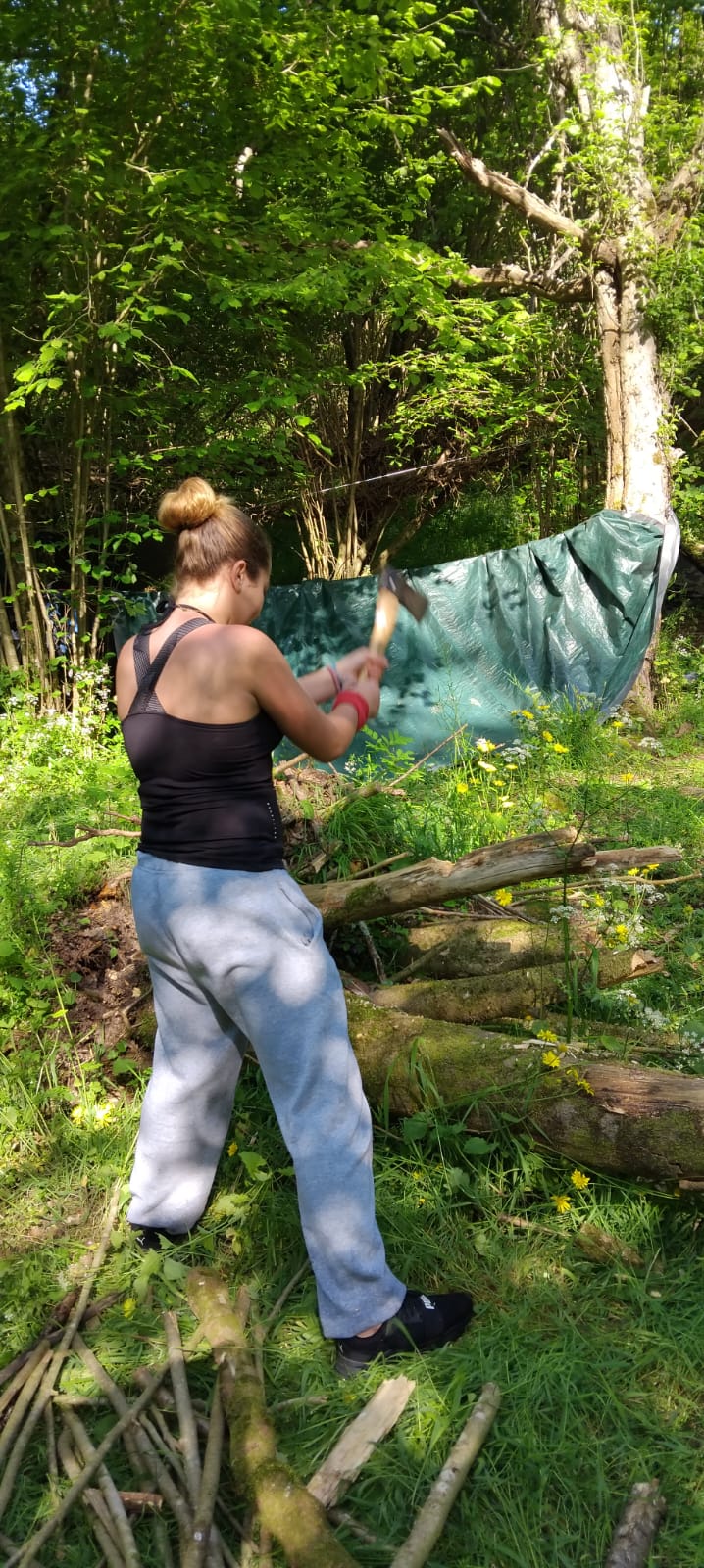 Photo de l'album : Stage en forêt