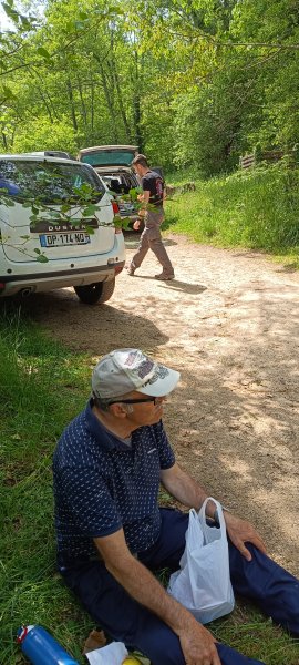 Photo de l'album : Stage en forêt
